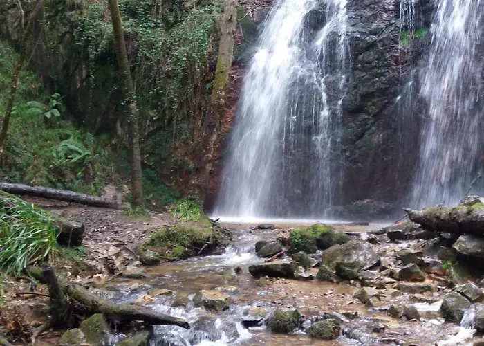 Casa Abuela Toni 奥维耶多